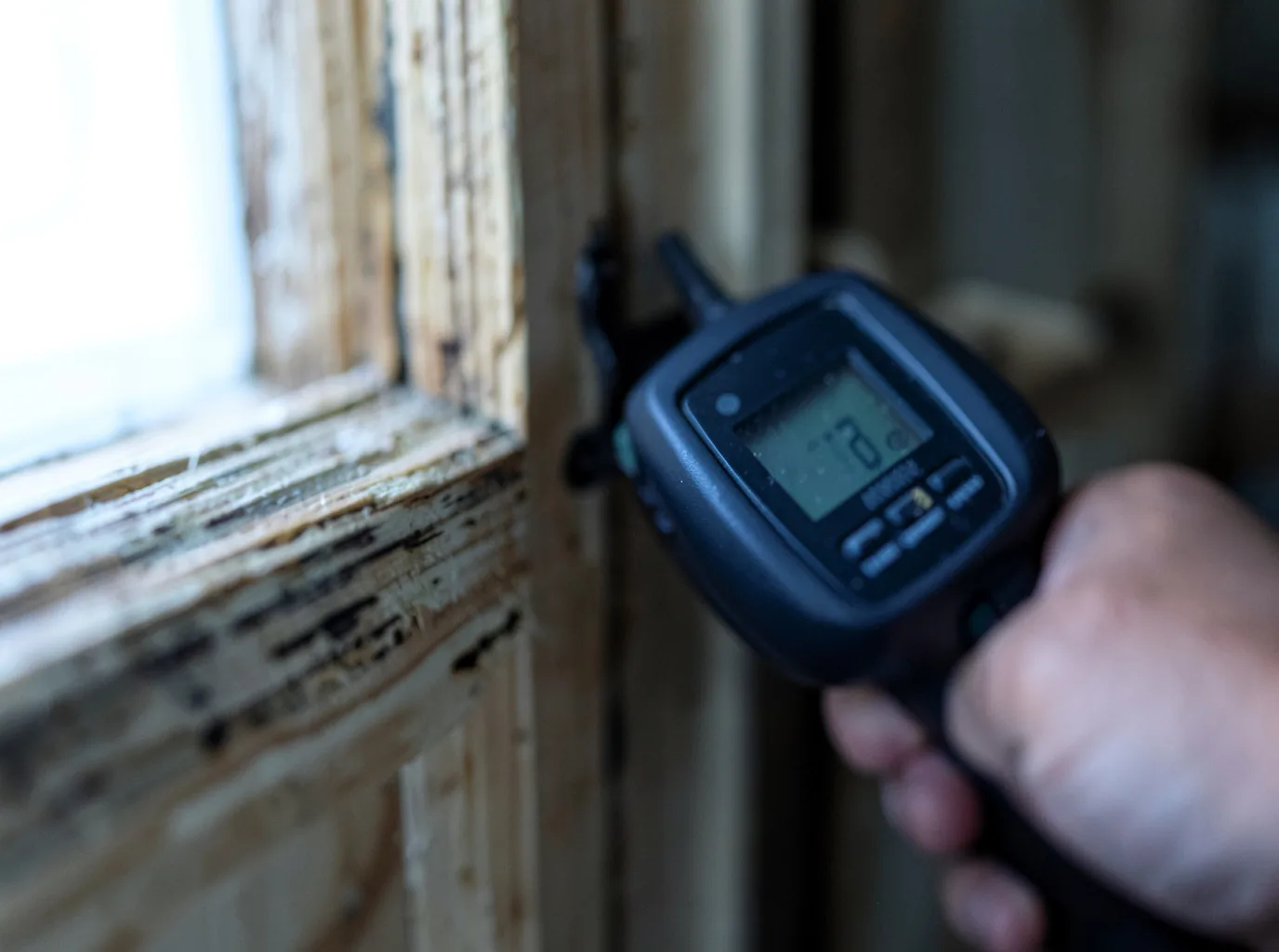 Moisture Inspection And Documentation in Mecosta, MI